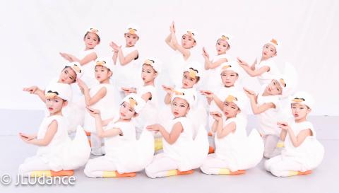 Ducklings' Quest